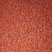 Annatto Seeds