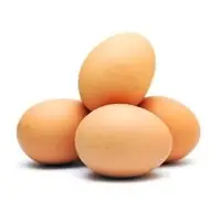 Egg