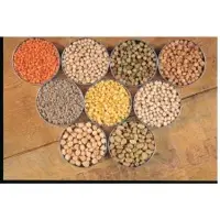 Pulses
