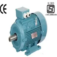 Three Phase AC Squirrel Cage Induction Motors