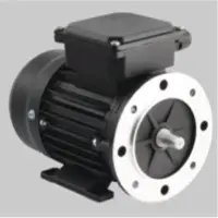 Foot Cum Face Mounted  Motors