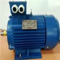 IE2 Motors