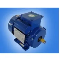 IE2 Motors