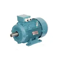 IE3 Motors