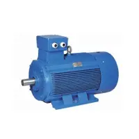 Special AC Induction Motors