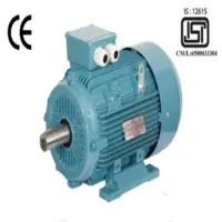 Foot Mounted Motors