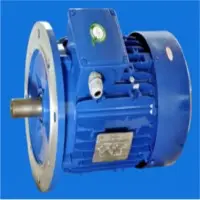 Flange Mounted Motors
