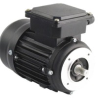 Face Monted Motors