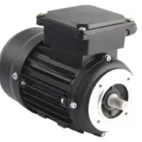 Face Monted Motors