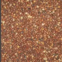 Red Pigeon Peas