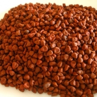 Annatto Seeds