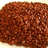 Annatto Seeds