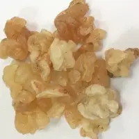 Gum Karaya
