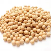 Soybeans