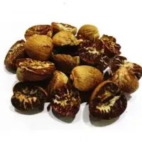 Dried Betel Nuts & Areca Nuts