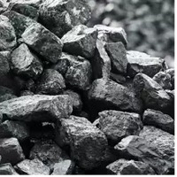 Coal