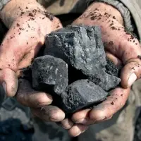 Steam Or Thermal Coal