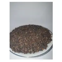 Black Peppercorn