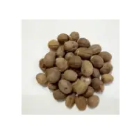 Nutmeg