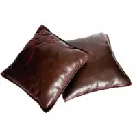 Pillow & Cushion Cover