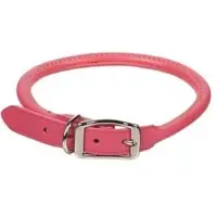 Dog Collar And Leash