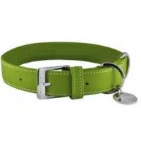 Dog Collar And Leash