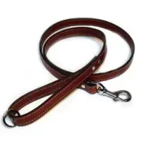 Dog Collar And Leash