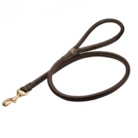 Dog Collar And Leash