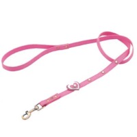 Dog Collar And Leash