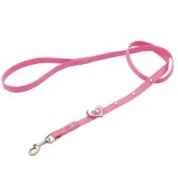 Dog Collar And Leash