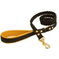Dog Collar And Leash