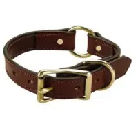 Dog Collar And Leash