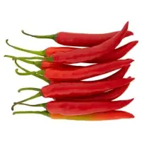 Dry Red Chilli