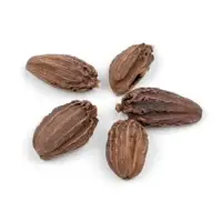 Big Cardamom