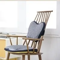 Chair  Backrest  Cushion Pillow