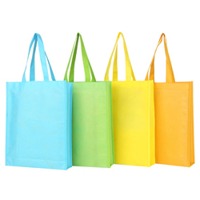 PP Woven/Non Woven Bags