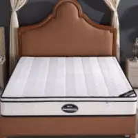 Latex Mattress