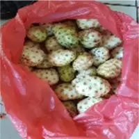 Fresh Noni