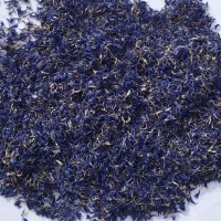 Blue Cornflower Petals