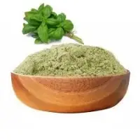 Dried Tulsi Leaves Powder
