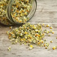 Dried Chamomile Flower