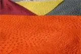 Ostrich skin