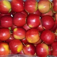 Polish Apples