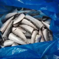 Frozen Sardine H& G / Whole