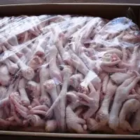 Frozen Chicken Feet