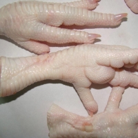 A Grade Chicken Feet