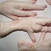 A Grade Chicken Feet
