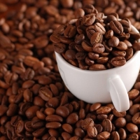 Arabic Coffee Beans