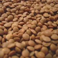Red Lentils and Yellow Lentils