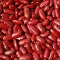 Kidney Bean